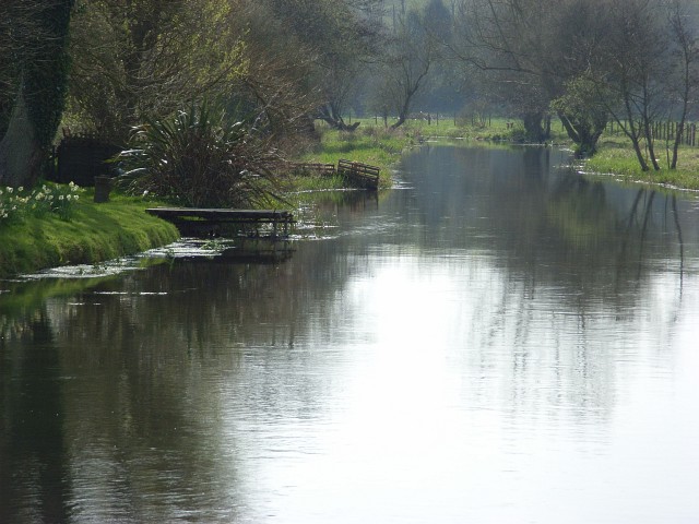 River Avon, Enford Looking downstream from the road bridge.