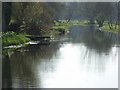 River Avon, Enford