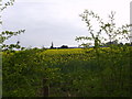 Fields belonging to Common Farm