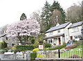 Houses in Caernarfon Road