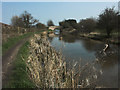 Macclesfield Canal approaching Peel Lane Bridge