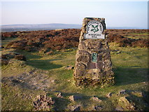 SS8734 : Winsford Hill trig point by Alan Bowring