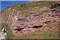 NO7047 : Devonian Rocks by Anne Burgess