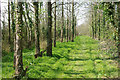 Footpath to Porchfield