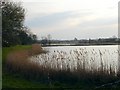 Gravel quarry, Oare