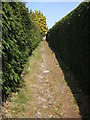 Footpath between the Houses at Sandy Down