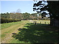 The Southern Edge of Roydon Wood Nature Reserve