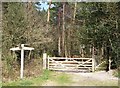 Bridleway Junction at Sandy Down