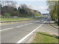 The Dorset Way through Canford Heath