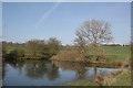 Field pond, Checkley