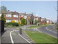 Typical Modern Housing in Canford Heath