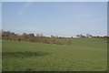 Fields above Checkley