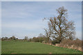 Farmland near Birch Cross