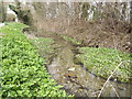 Clear Norfolk stream