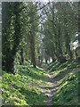 Footpath, Upavon