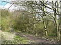 Footpath at Wood Lane