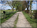 The entrance drive to Hill House Farm