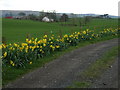 Clydenoch Farm