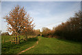 Footpath nr. Child Okeford