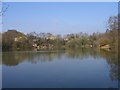 Pond on Alder Hills Nature Reserve