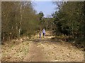 SY7392 : Permissive path on the Roman Road, Bhompston Heath by Jim Champion