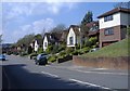 Wentwood Road, Caerleon