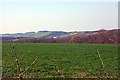 Looking over the hedge into a field. Near Ladock.