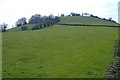 ST2793 : Green Court Farm, Henllys by Roger Cornfoot