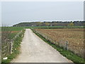 Bridleway to Stoke Lyne