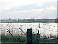 Gravel pits, Oare