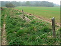 Farmland north of footpath to Castle Copse, Great Bedwyn