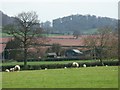 Farmland north of Ludlow