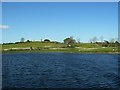 G8902 : Carrick-on-Shannon Golfcourse by Suse