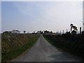 Lon Wledig ger Talwrn Hogfaen / Country Lane near Talwrn Hogfaen