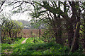 Footpath by Skinsley Wood