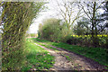 Bridleway from Pleshey to Fanner