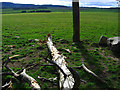 Land use on Biddlestone Edge Farm