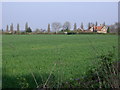 Crop Field