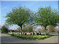 Shiregreen cemetery