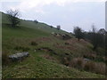 SH8828 : Hillside, Cwm Cynllwyd by Eirian Evans