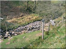 SO0618 : Stile and finger post on Caerfanell river by Nigel Davies