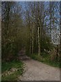 Public byway through Nackholt Wood