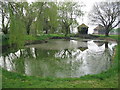 Duckpond at South Brewham