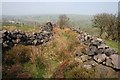 Walled path from Brown Edge Farm to Gorstead Mill