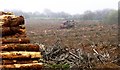 Timber Farming