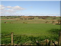 Loanrigg Farm Pasture