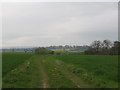 Field edge track near Hollybush.