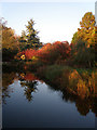 Water Gardens in Harlow Town Park