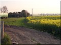 Looking west from Denne Manor Lane