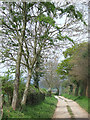 Byway near Quatt, Shropshire